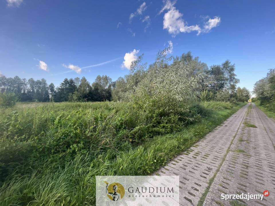 Działka na Żuławach I trasy S7 I 2500 m2 Kiezmark sprzedam