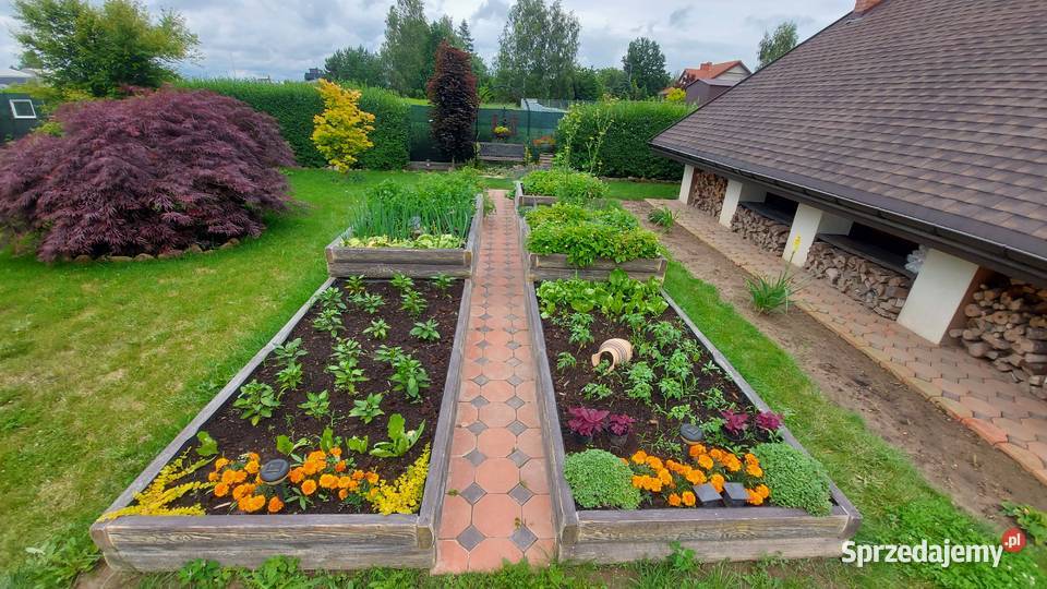 Ekologiczny warzywniak betonowy Zielnik Inspekt Kraków