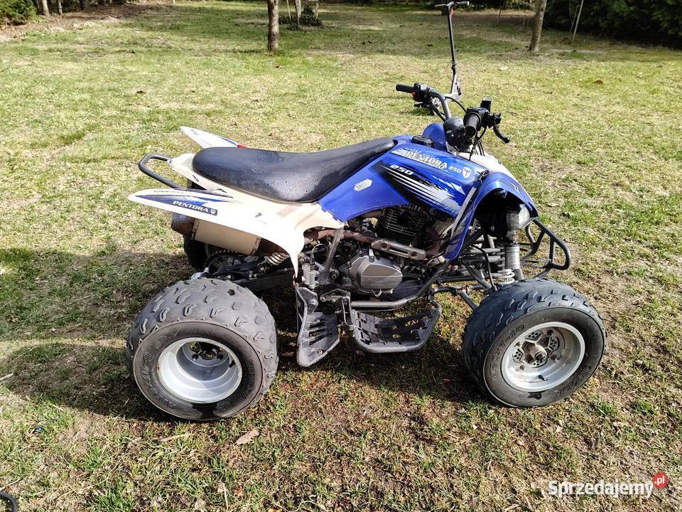 Quad pentora 250 quad - ATV Pozostałe Porosły