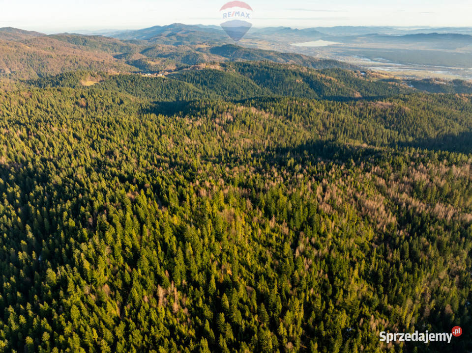 Grunt Ostrowsko sprzedam