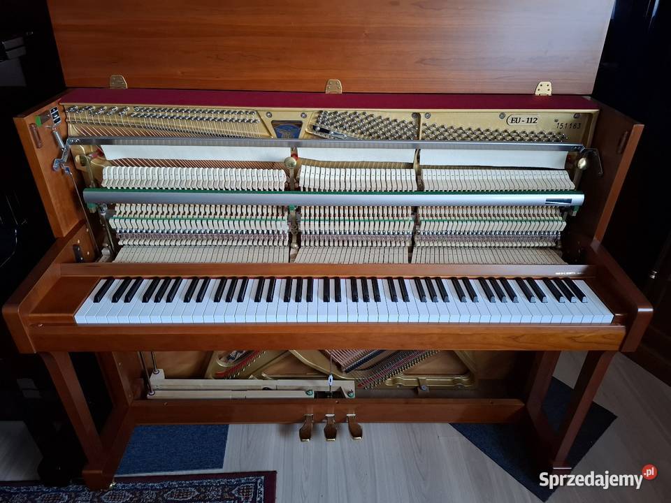 Pianino Eutepre CBECHSTEIN model EU112 stannowe Brzesko
