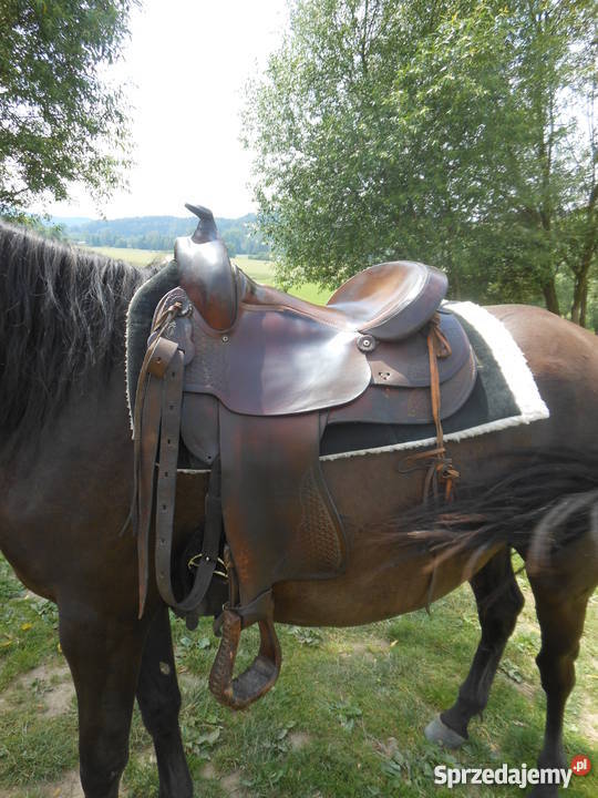 Siodło westernowe MONTANA SADDLERY west western dolnośląskie Kudowa-Zdrój