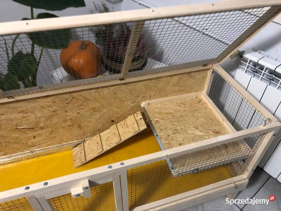 Klatka drewniana zagroda królika świnki morskiej Myszków