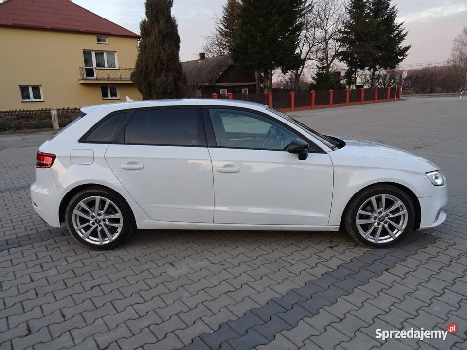 Audi A3 Serwisowany Zarejestrowany Navi Xenon 20 podkarpackie Rzeszów sprzedam