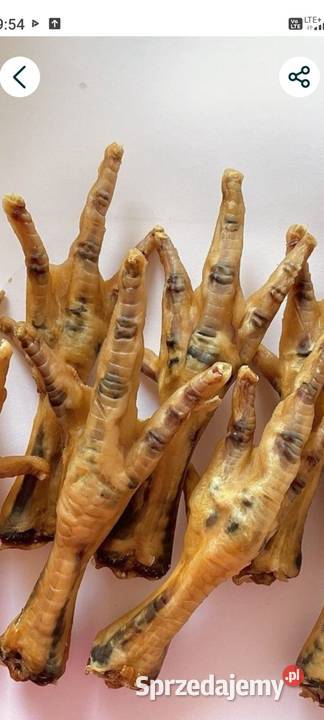 Suszone łapkiszyjki kurze gwarancja jakości Nowogard