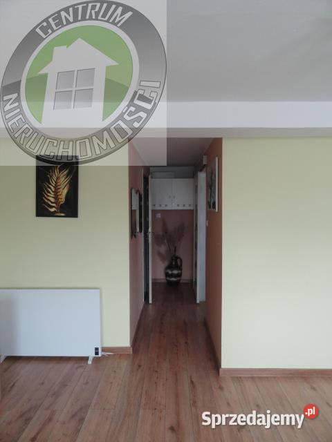 Do wynajęcia dom wolnostojący Chełmiec 64m2 wolnostojący Wynajem Wynajem