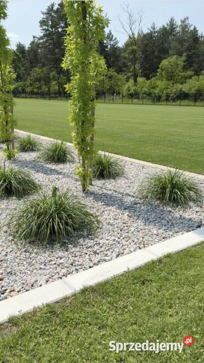 Obrzeże trawnikowe z betonu nowoczesne obrzeża Górno