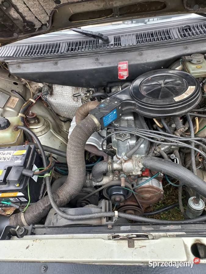 Polinez Caro sprzedam