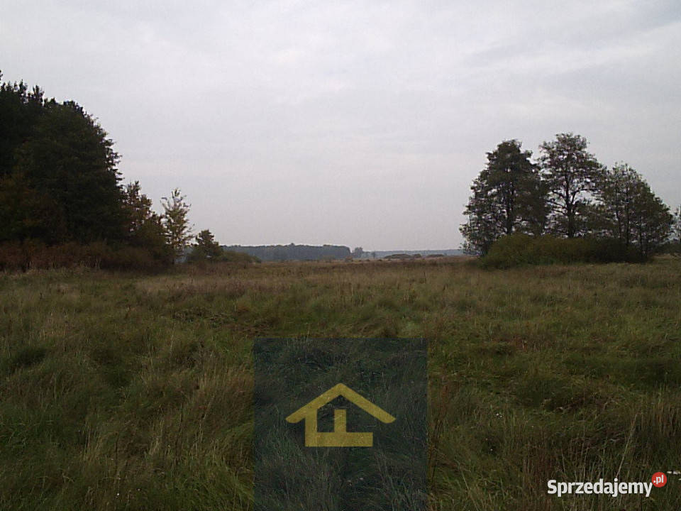 Działka w Całowaniu Gmina Karczew Całowanie sprzedam