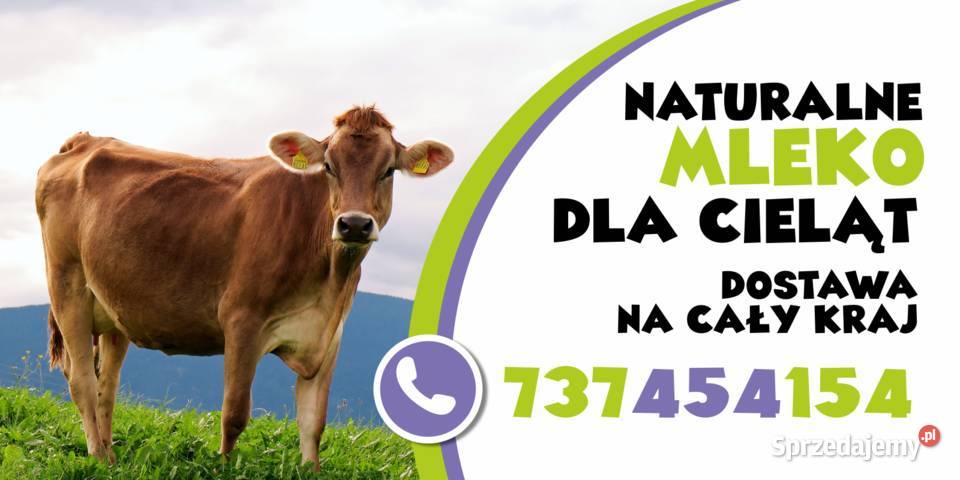 mleko cieląt bez biegunek bez problemów Krotoszyn