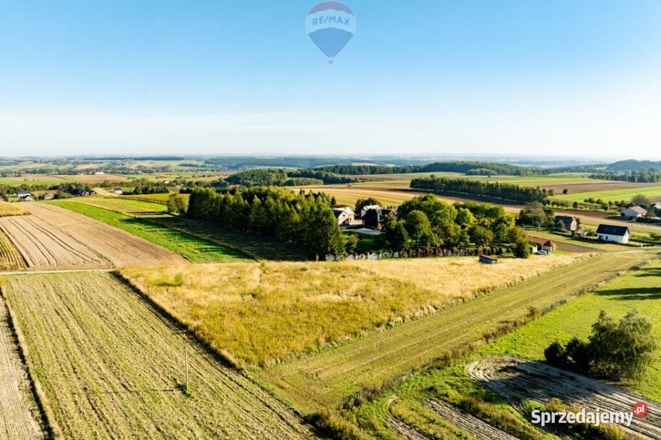 DZIAŁKA SKAŁA Skała