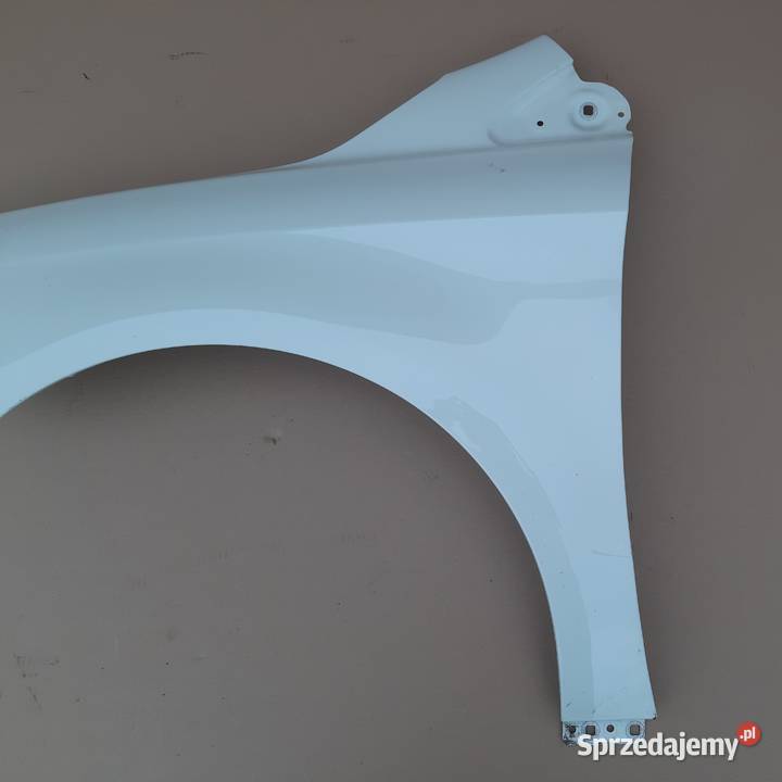 MERCEDES BKLASA W246 BŁOTNIK LEWY PRZÓD Trzciel