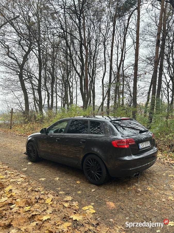 Audi A3 8p 18 TFSI przyciemniane szyby lubelskie Dzierzkowice-Wola