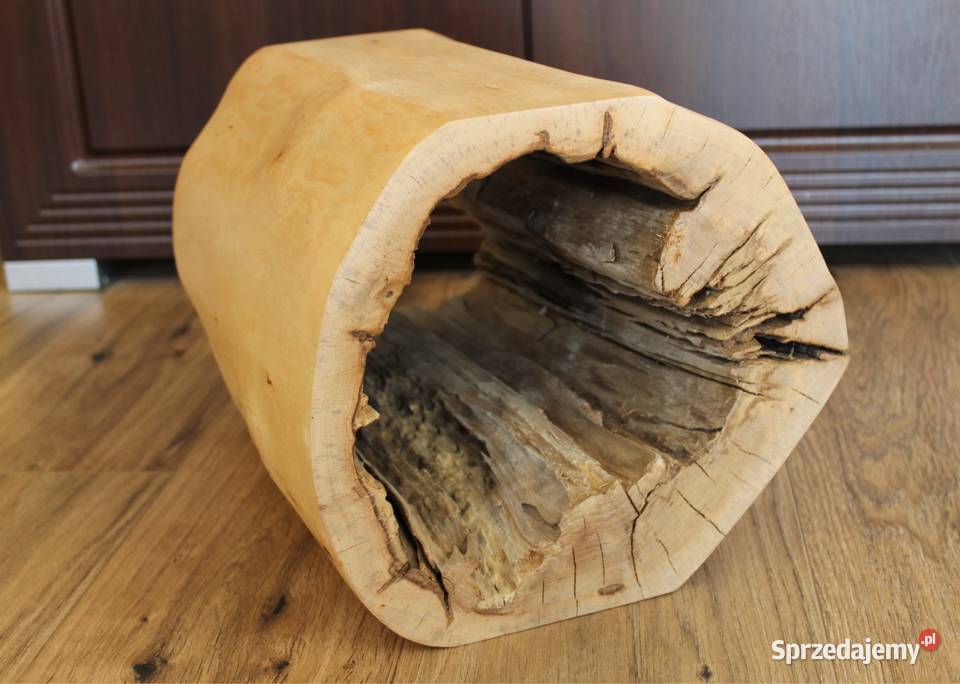 Kwietnik z pnia Siekierki Małe