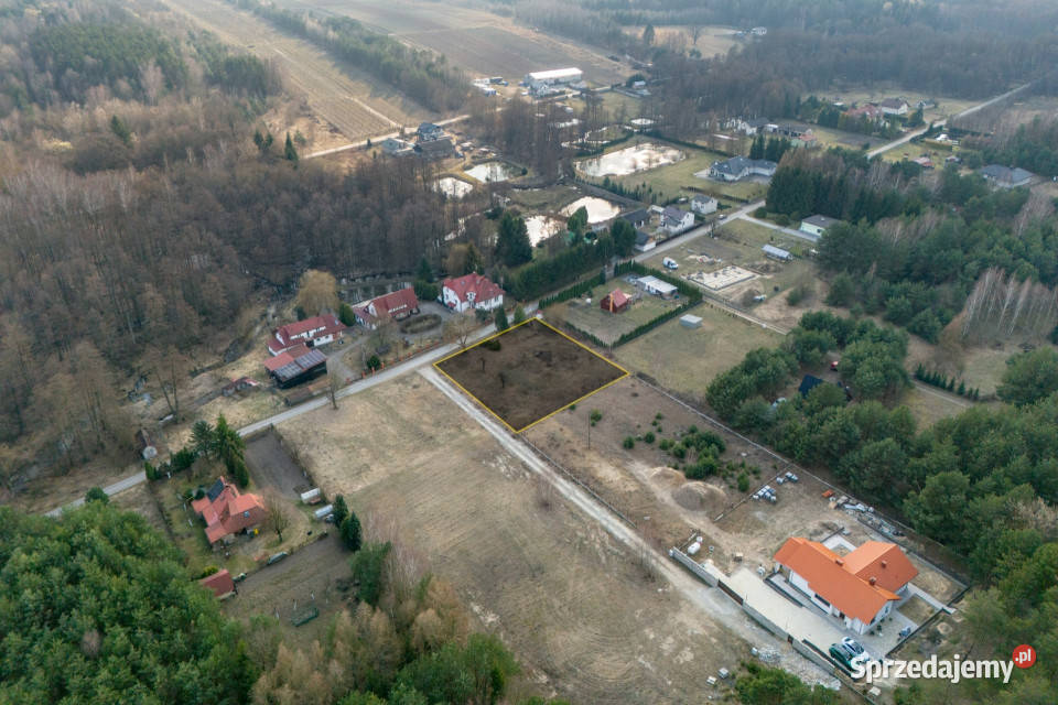 Na sprzedaż działka budowlana Przykory gm Pniewy sprzedam