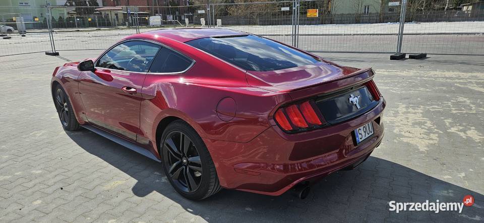 Ford Mustang 37 Automat 306 mazowieckie Książenice