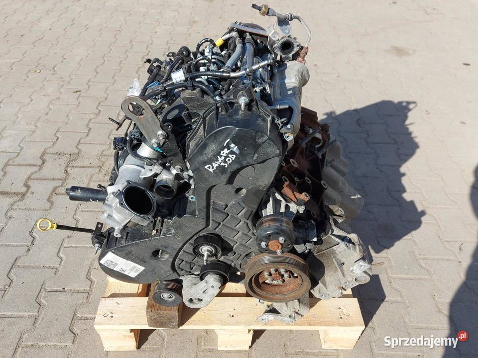 Ford Ranger VI 6 2024r SILNIK Kompletny egine 30 osobowe sprzedam