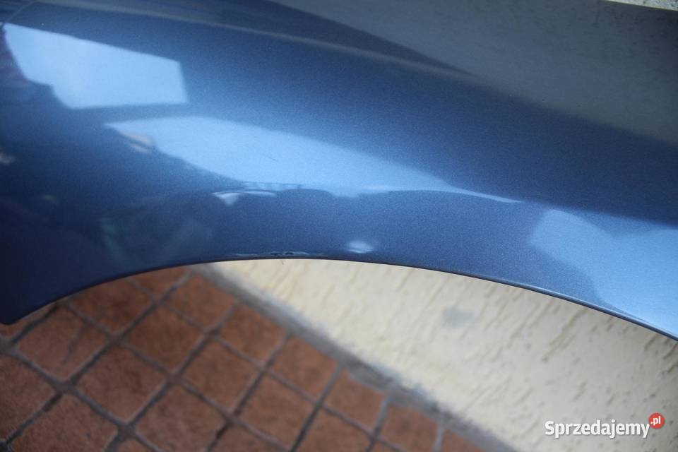 BŁOTNIK LEWY PRZÓD PRZEDNI EZWD PEUGEOT 407 wielkopolskie