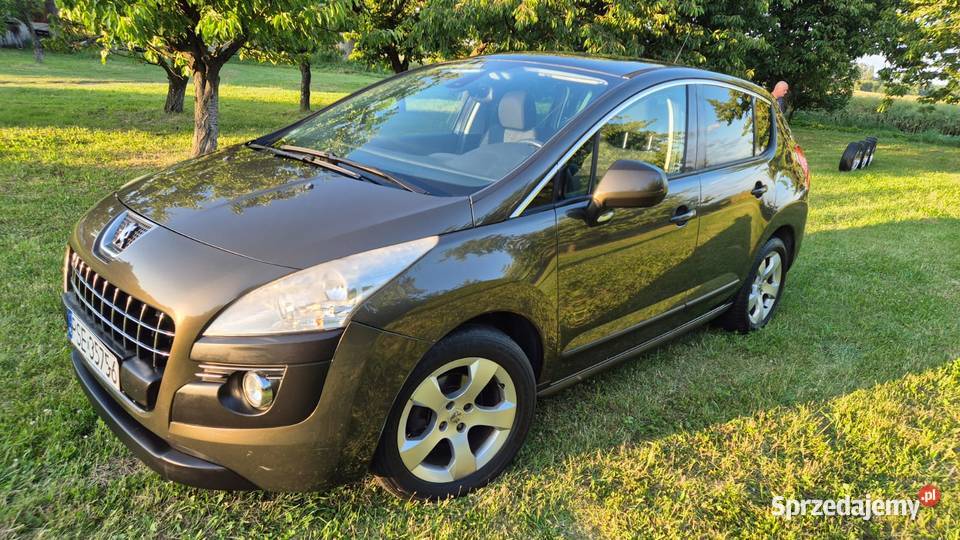 Peugeot 3008 16 Active Drzonek