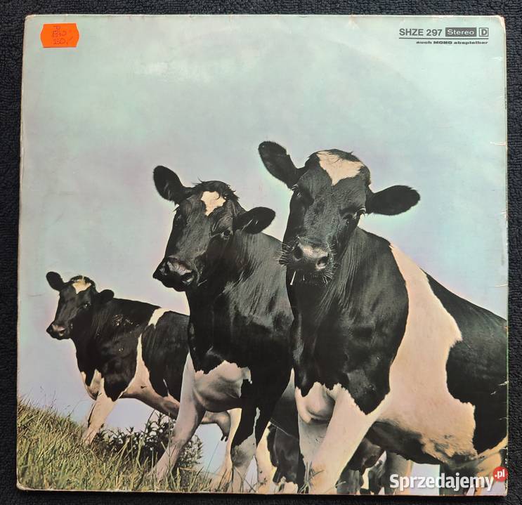 Pink Floyd płyta winylowa