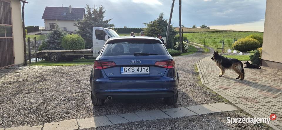AUDI A3 A3 Kościerzyna