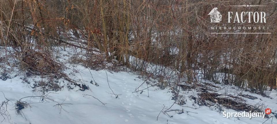 Siary działka budowlanoleśna 21a 1168S2026 61zł/m2