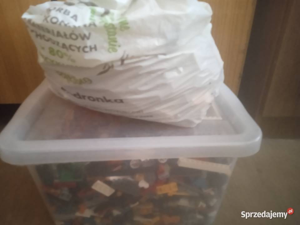 LEGO klocki z dodatkami Okonek