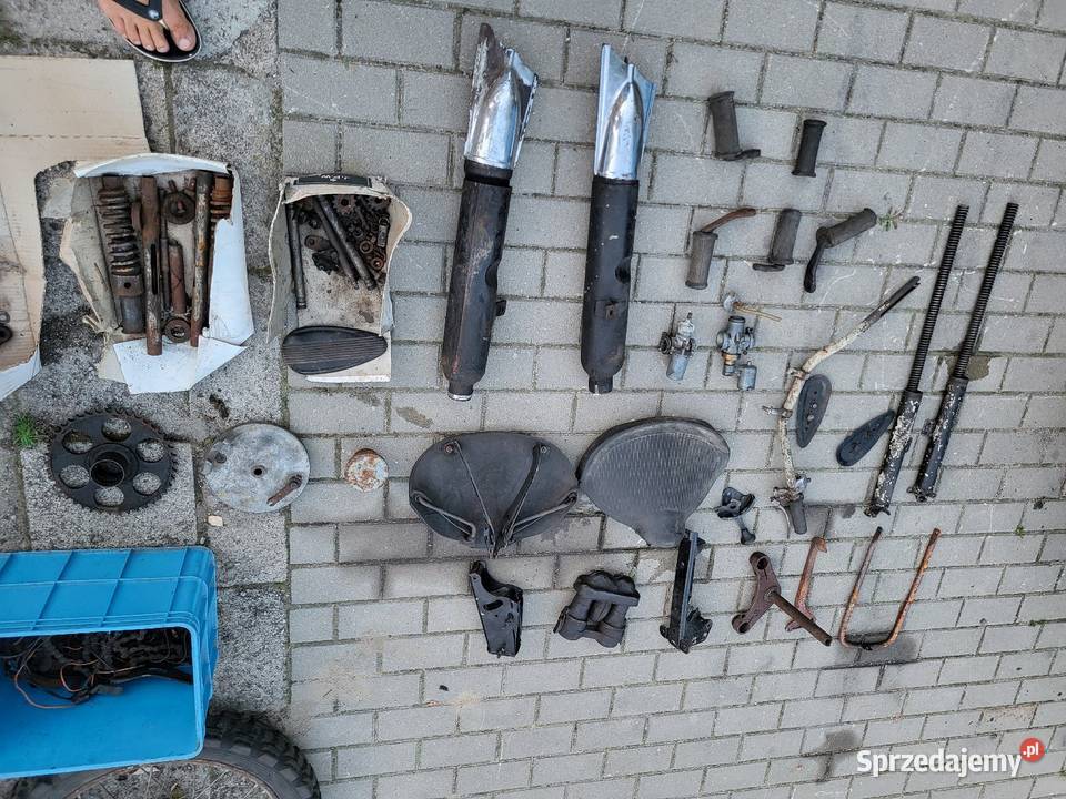 Iż 49 Pozostałe Mogilno