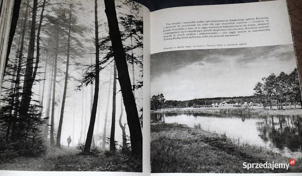 Ziemia puszcz i jezior Kazimierz SaysseTobiczyk lubelskie