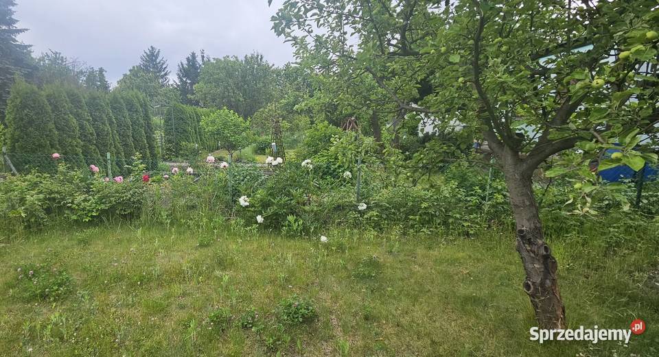 Zielona Działka ROD Ariadna Dąbrowskiego Łódź