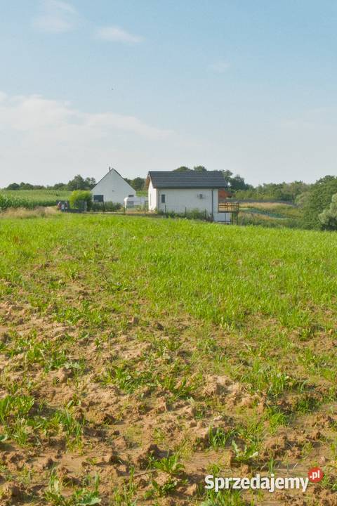 Działka jeziorem z linią brzegową i bezterminową 180zł/m2 kujawsko-pomorskie Trąbin-Rumunki