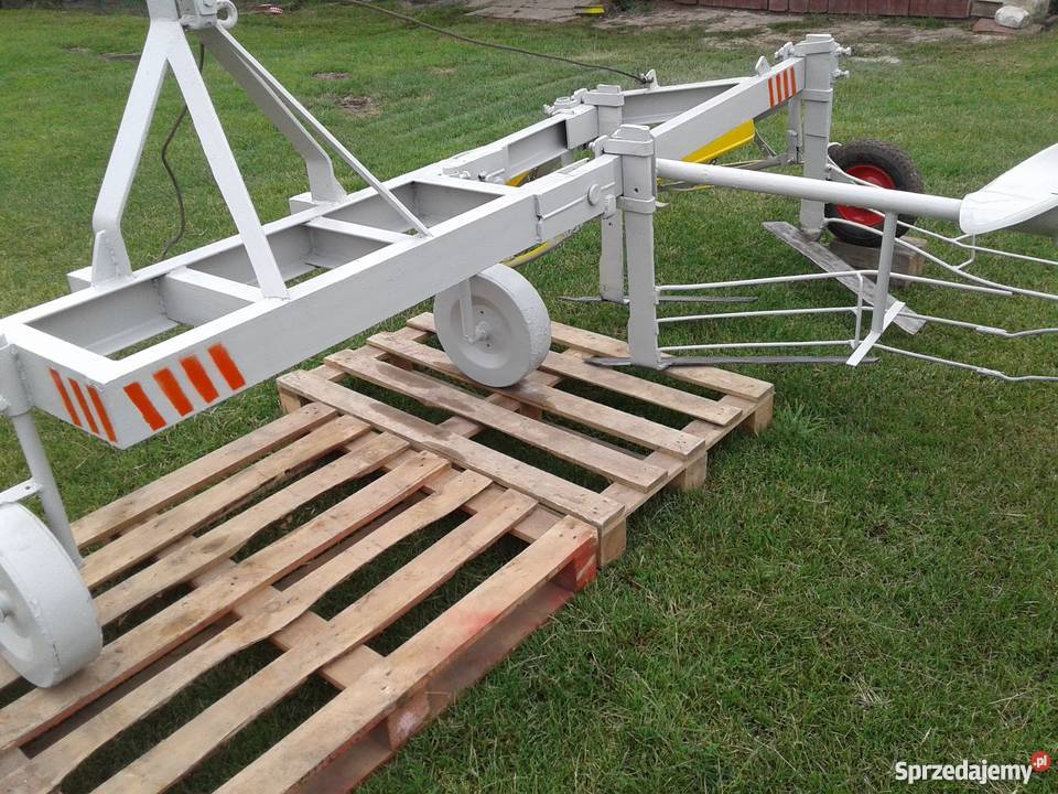 Ścinawka do fasoli nieuszkodzony Rzeplin