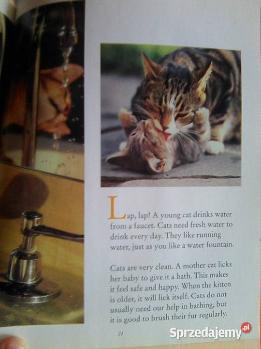 National Geographic Society angielski sprzedam