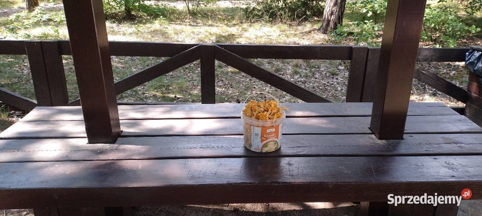 KURKI PROSTO z LASU Siekówko sprzedam