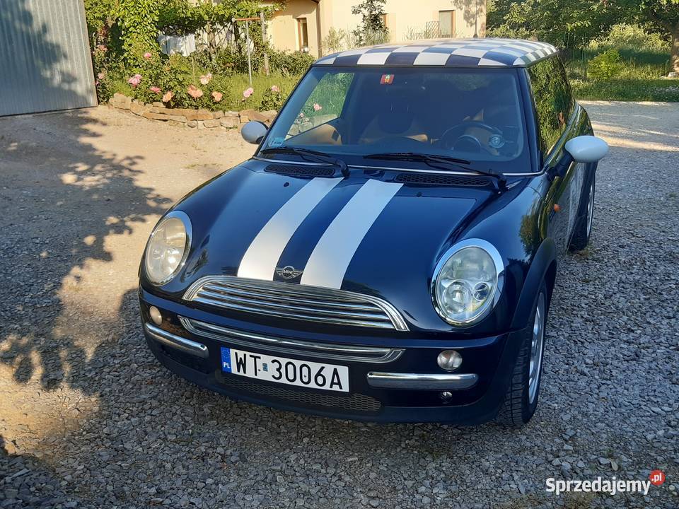 MINI COOPER R50 16 Drzewica