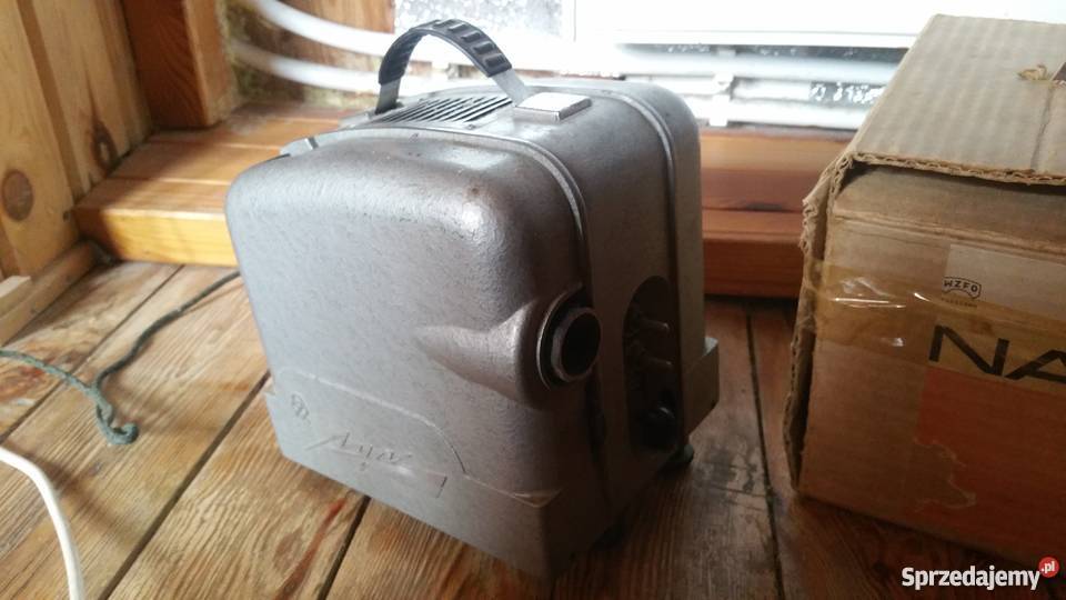 2 x Rzutnik Ruski plus Narcyz polski mazowieckie Raszyn