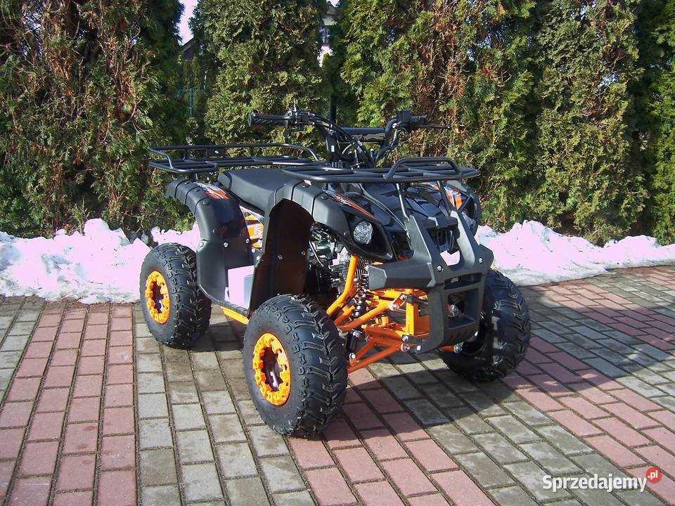 Quad KXD HAMMER 110 cc 125 cc automat 11 dzieci 125cm3 zachodniopomorskie Goleniów sprzedam