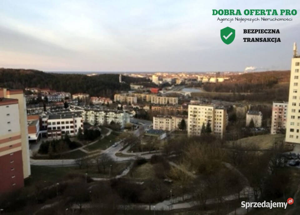 ielony azyl w Gdańsku widok na las Gdańsk