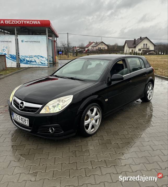 Opel Signum 19 diesel 2005r 4/5 Signum Pilzno