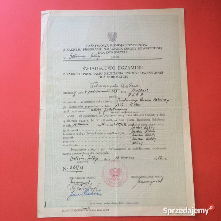 1749 Świadectwo Egzaminu Tchórzewski zachodniopomorskie Szczecin