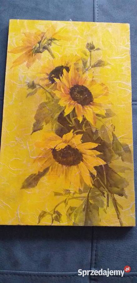 Słoneczniki Legionowo