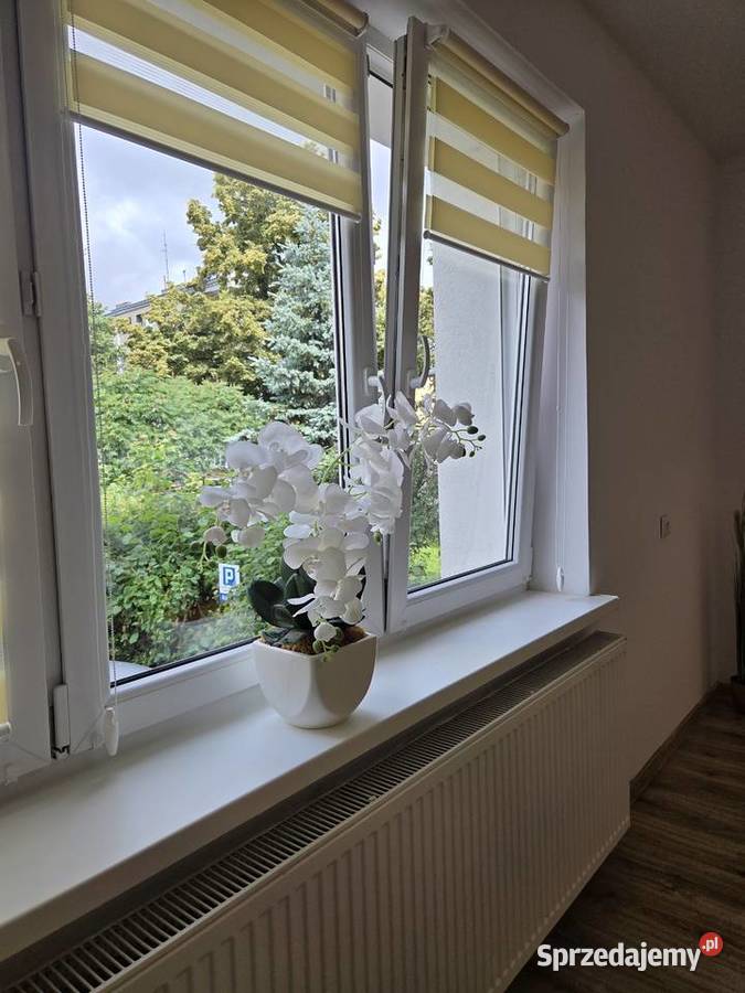 Parter kawalerka Lębork 25m