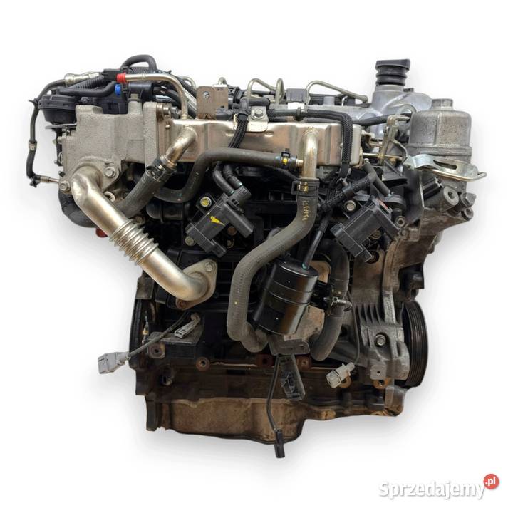 SILNIK Z22D1 Opel Antara Chevrolet Captiva 22 Chełm
