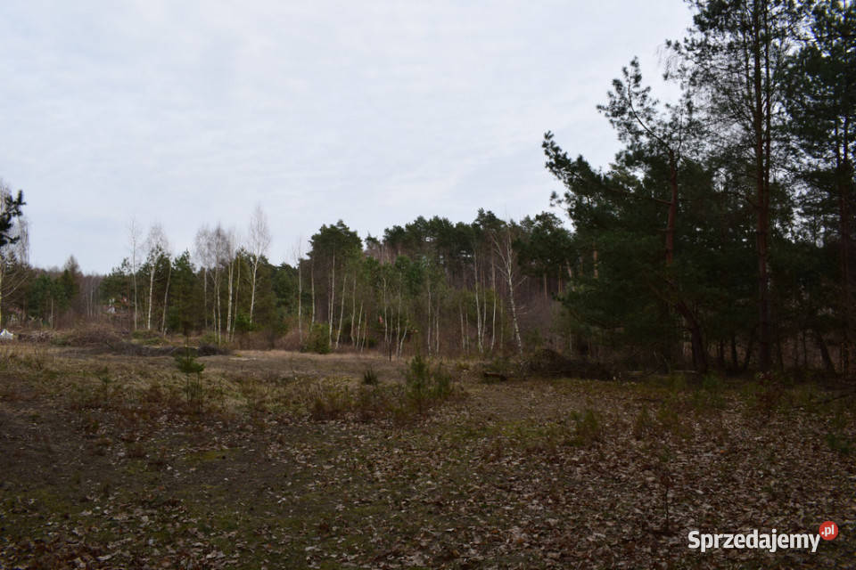 Działki pod budownictwo 1387a Wysoka Głogowska asfalt