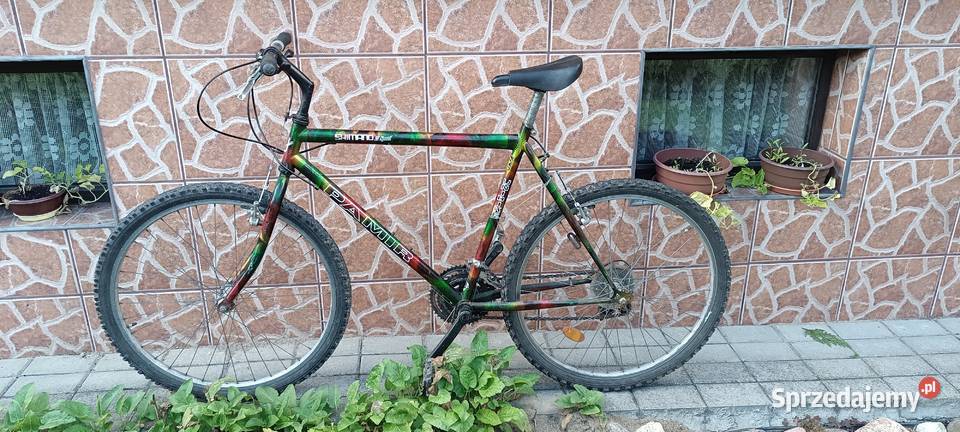 Rowery typ Cross koła 26 1 sztukę 100 Górskie, MTB Kościerzyna