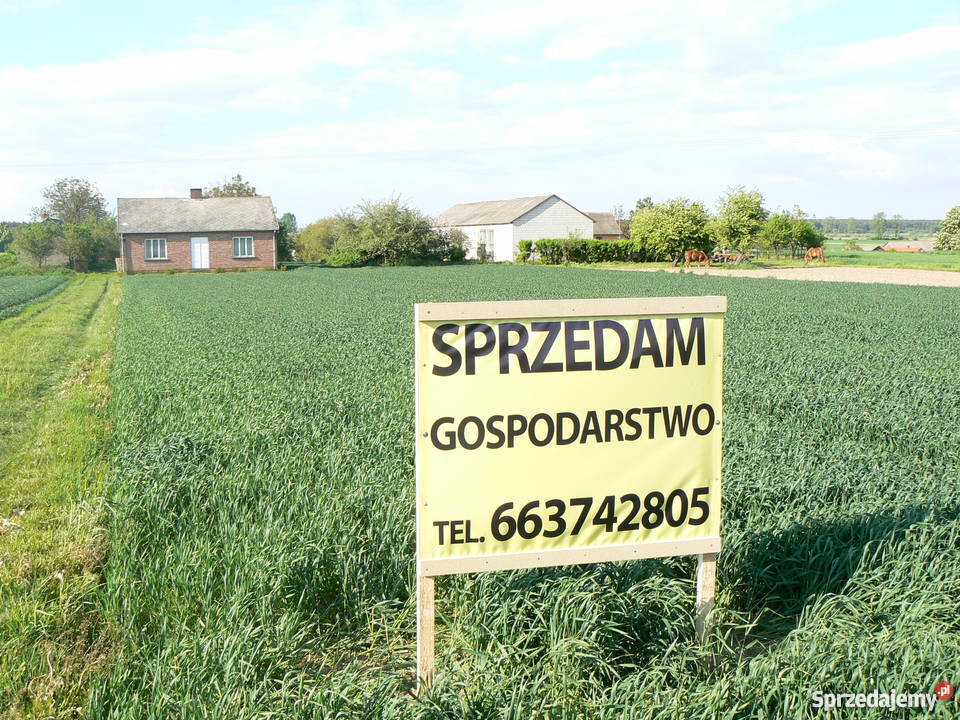 GOSPODARSTWO ROLNE lubelskie Zubowice