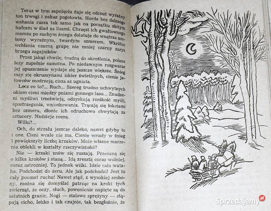 Drapieżcy Teodor Goździkiewicz Chełm