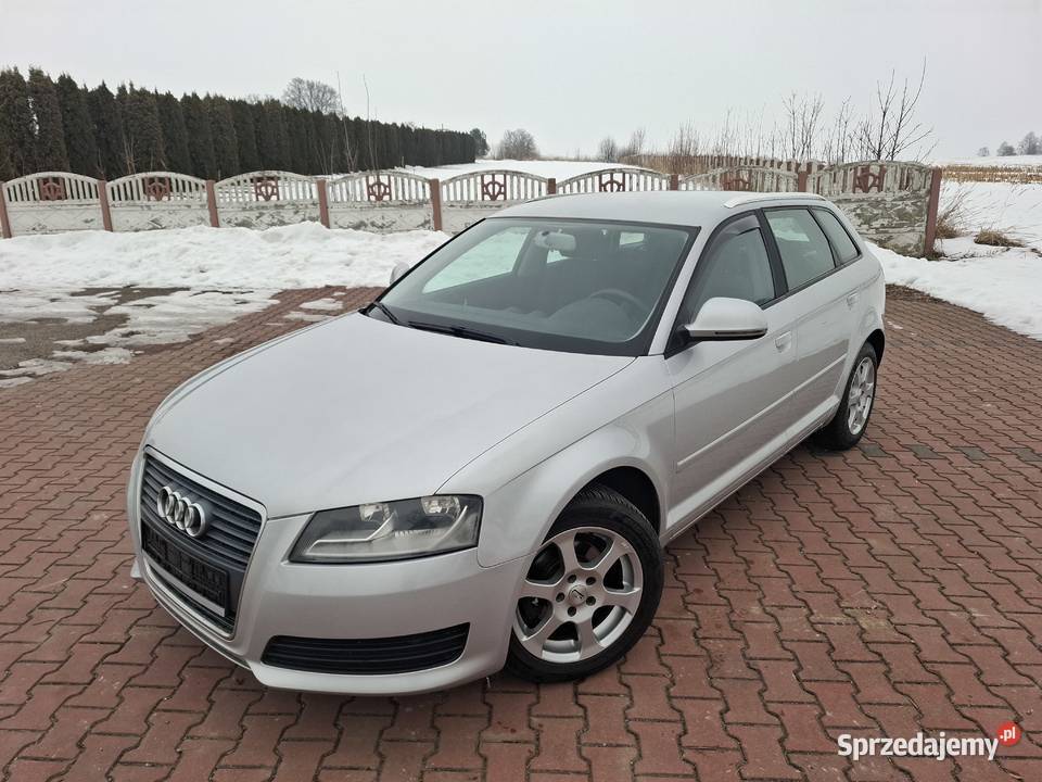 Audi a3 16 MPI 102 SerwisBezwypadekZadbany Pawłów