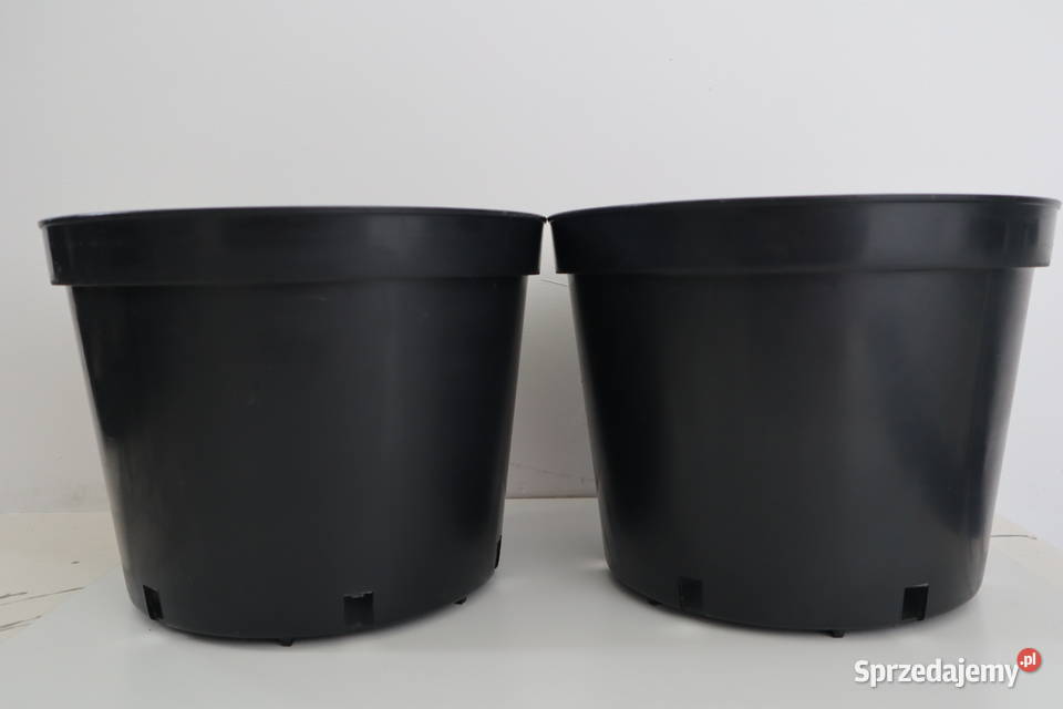 12LPB2 ogrodnik warzywa drzewka owocowe duże Zagnańsk sprzedam