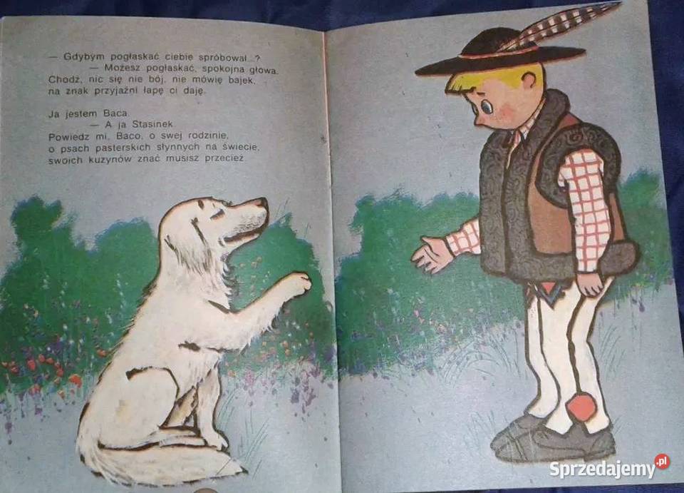 Baca Rinaldo Kazimierz Winkler Pozostałe Chełm sprzedam